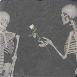 Meet your Posher, Evelyn j.